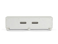 Ally TV Unit