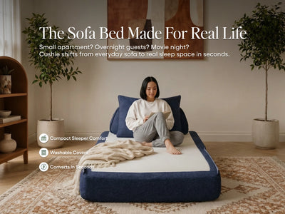 Sleeper Sofa / Sleeper Chair / Denim